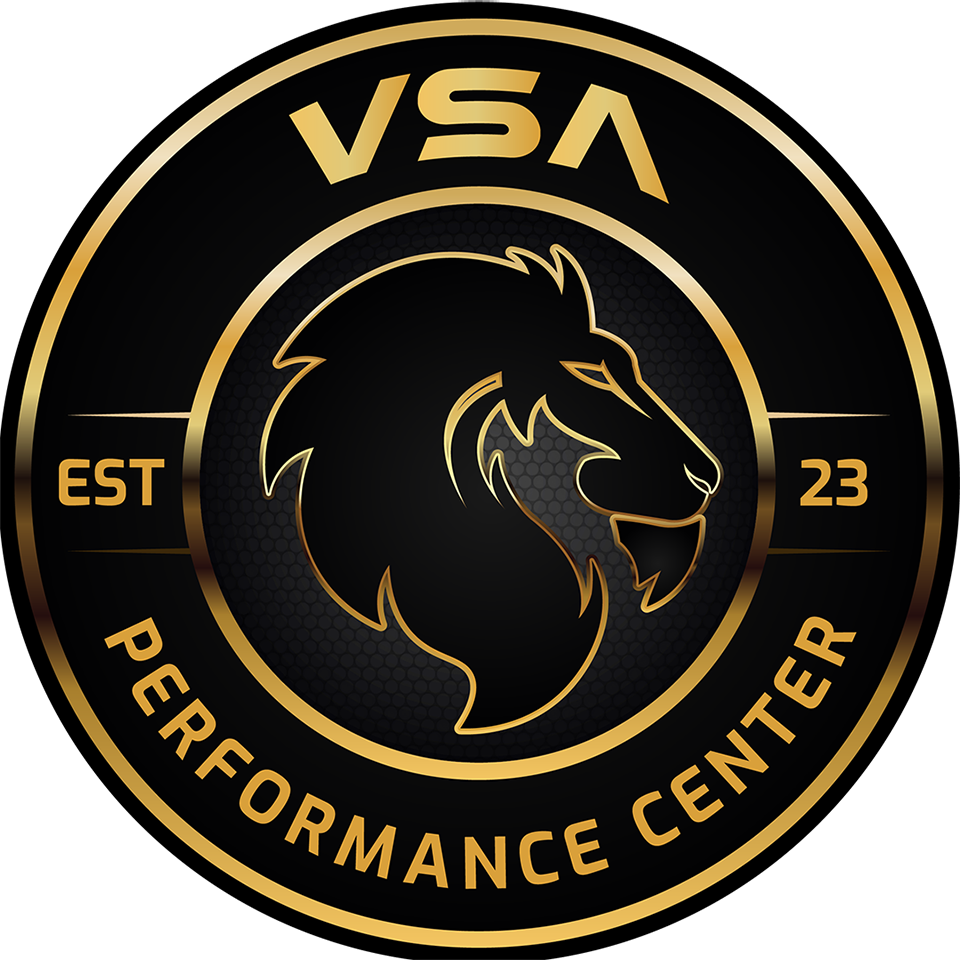 VSA-Performance-New-Lion-Patch