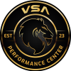 VSA-Performance-New-Lion-Patch